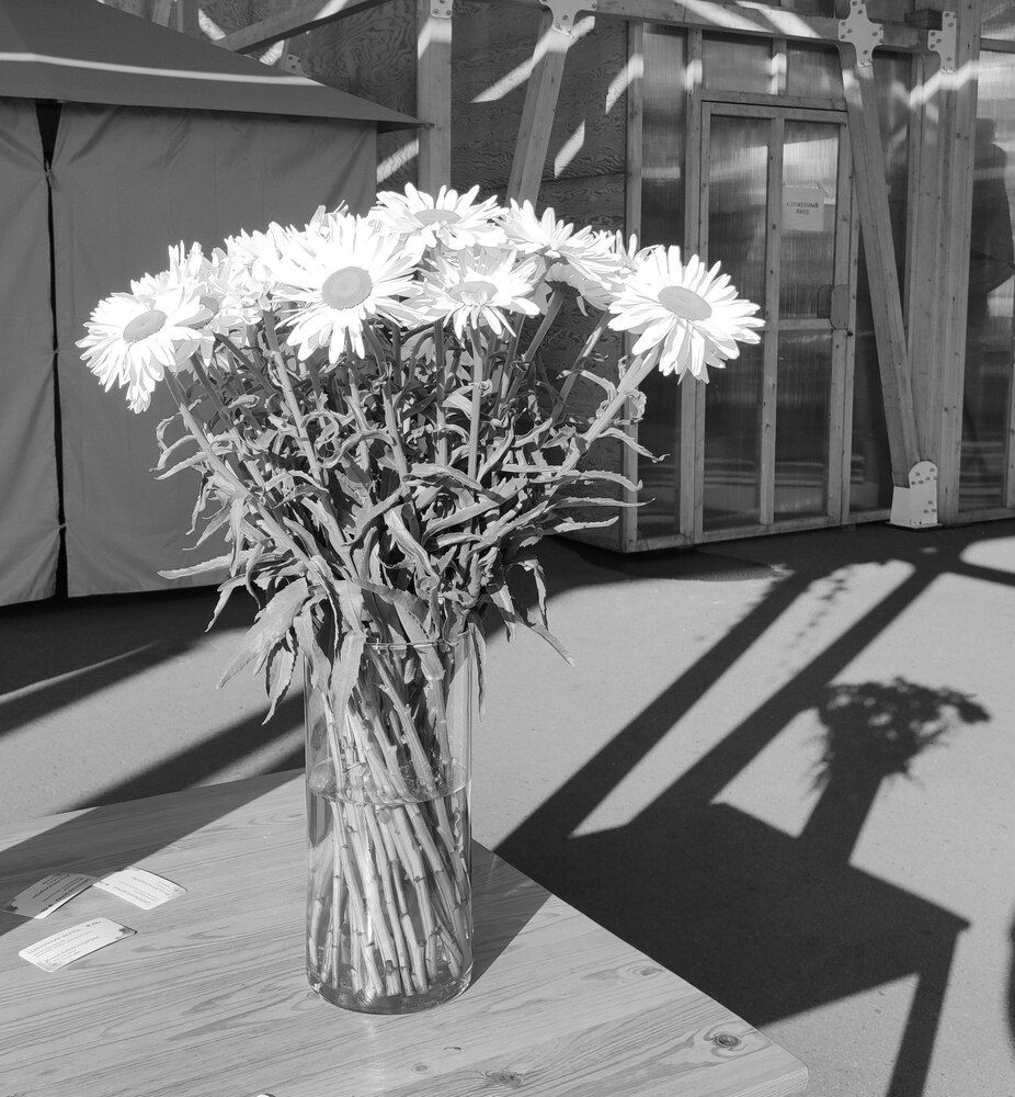 Photograph by Елена Казарина