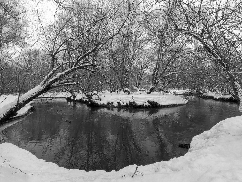 Photograph by Елена Казарина