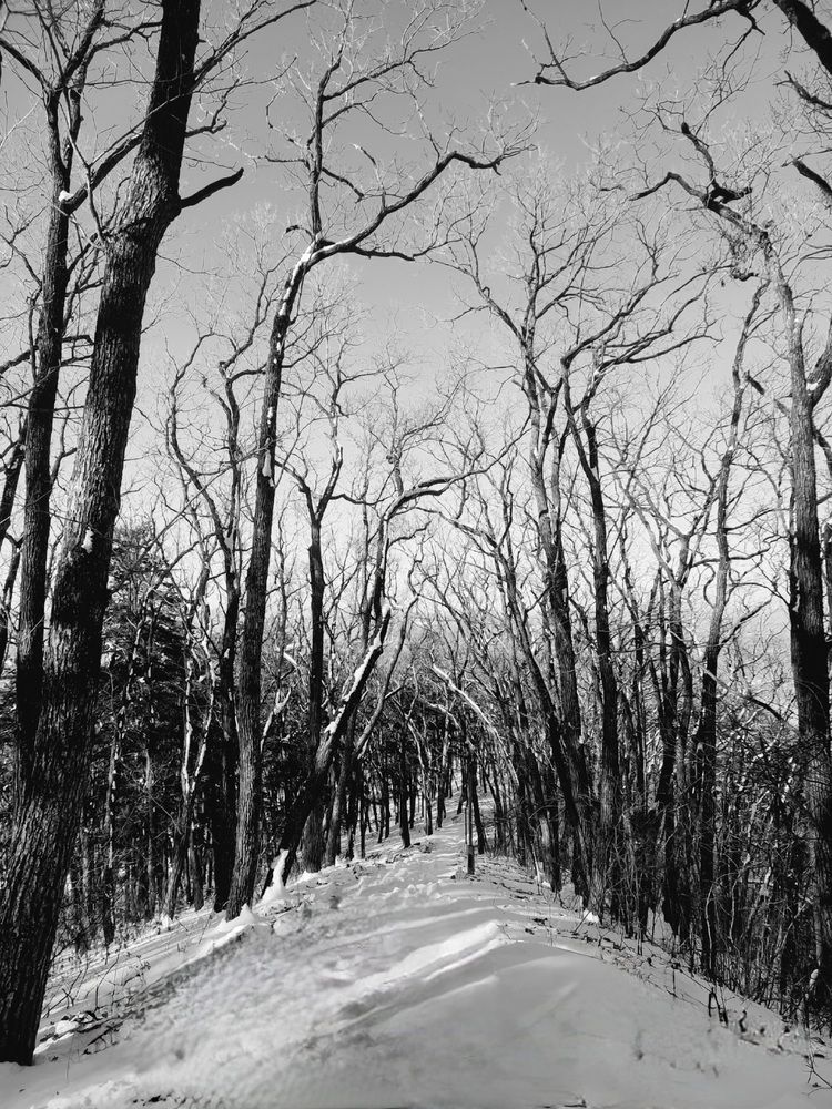 Photograph by Татьяна Бухтиярова