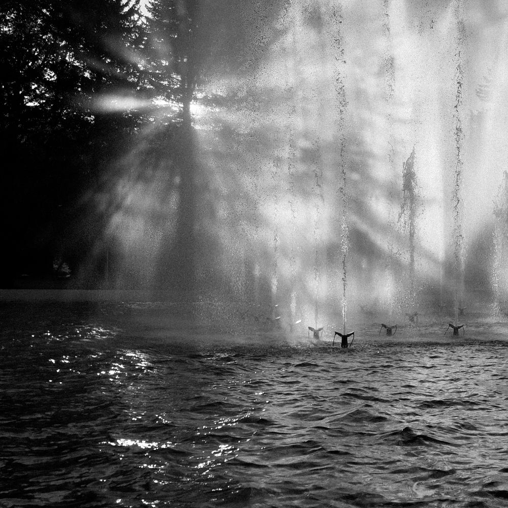 Photograph by Надежда