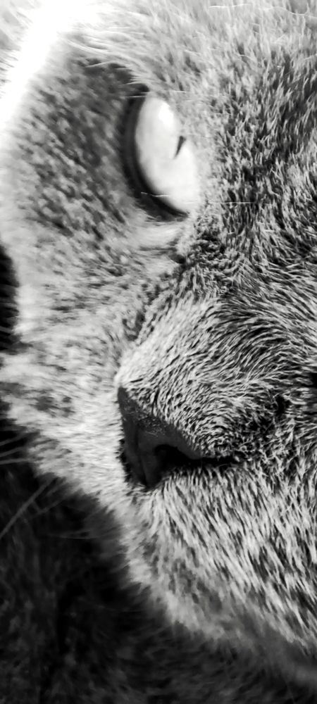 Фотография автора Анастасия Большакова