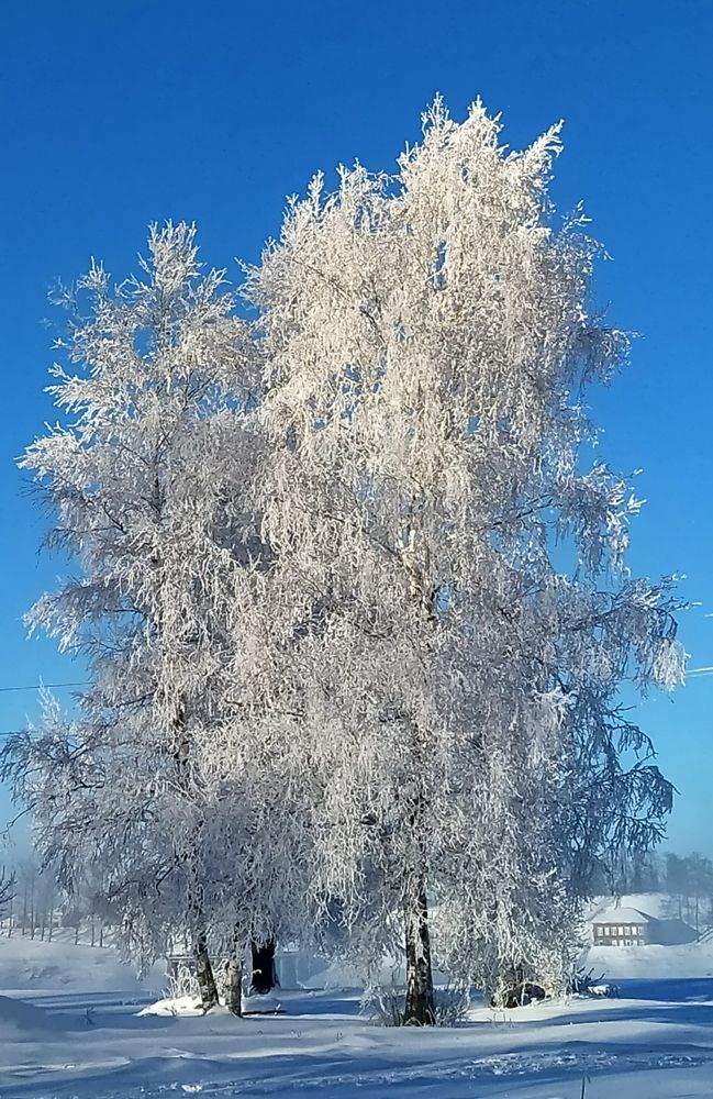 Photograph by Svetlana Aleks