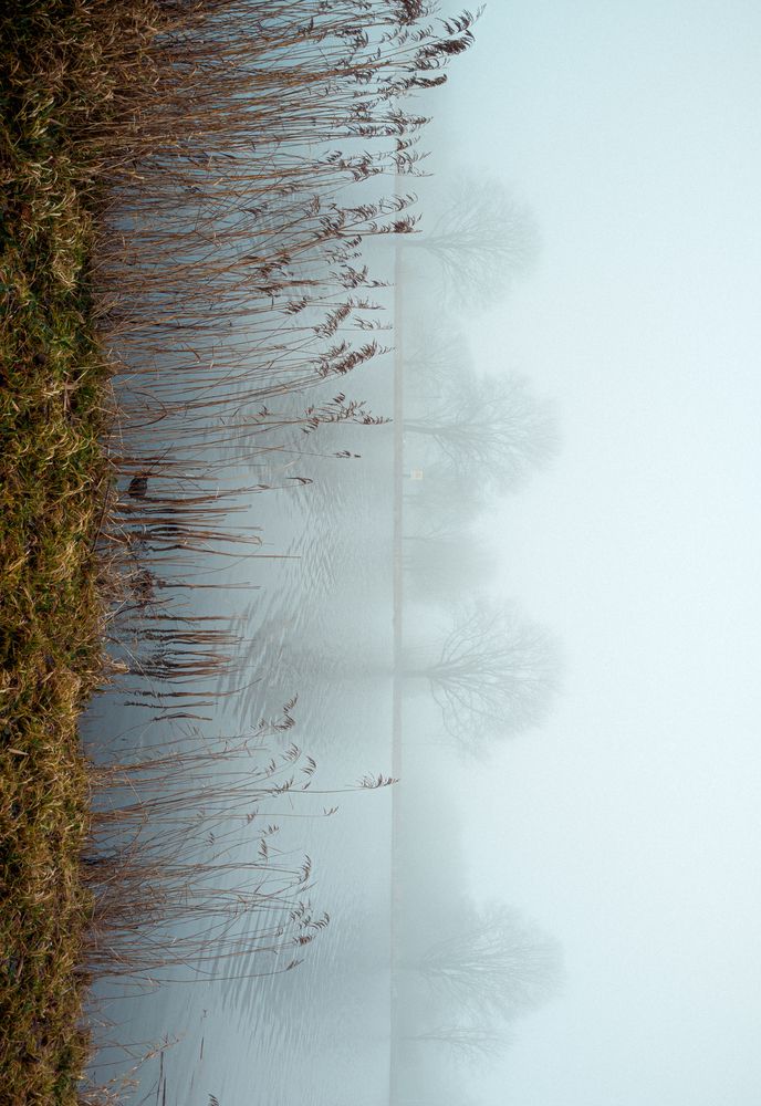 Foggy Amstel river. Heron