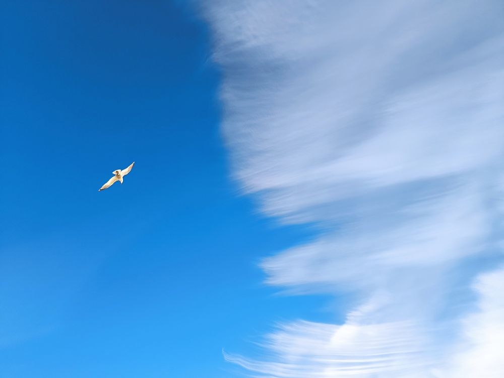 Photograph by Елена Симонова