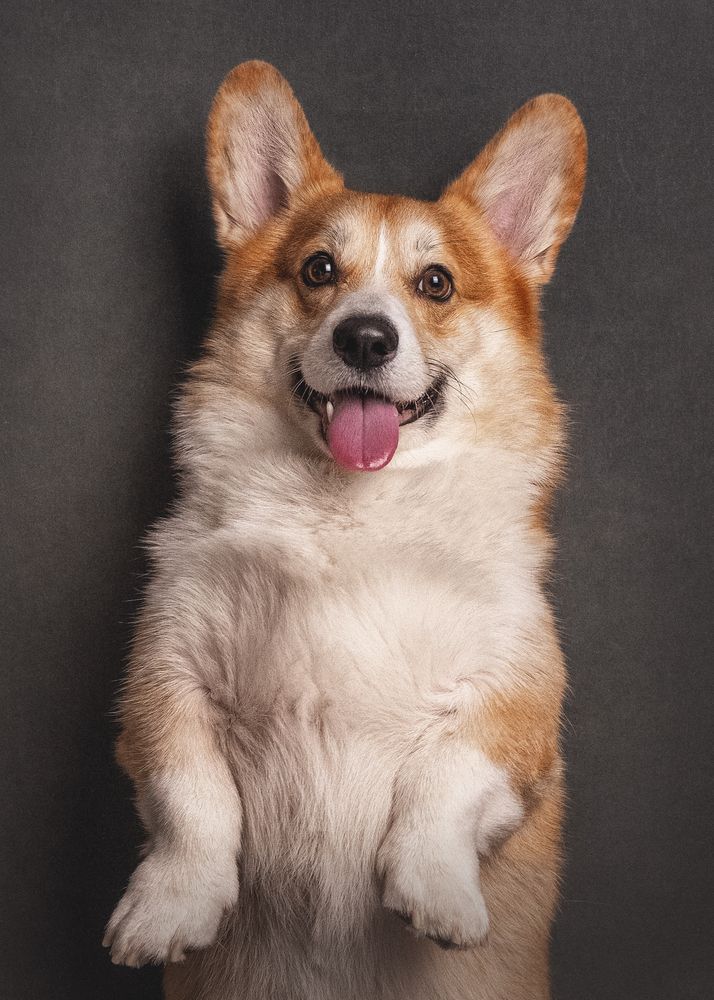 Фотография автора Елена Буданова