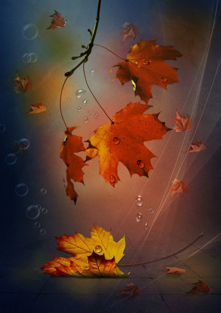 Осенний лист