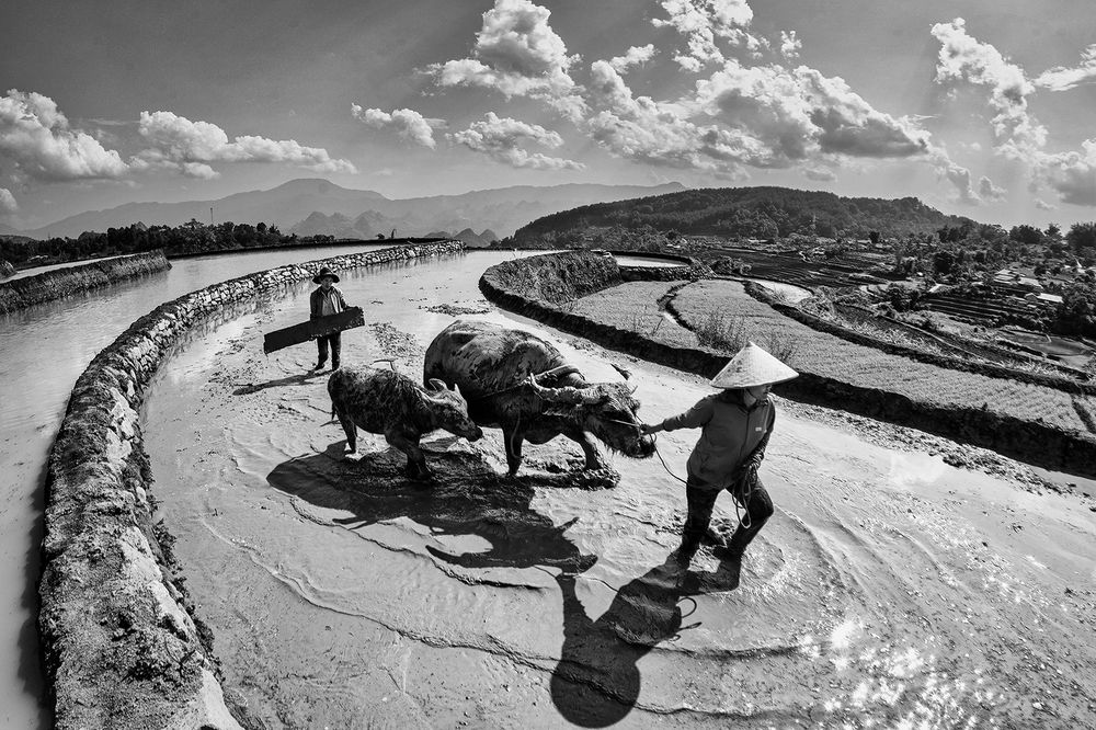 In the Season of Planting