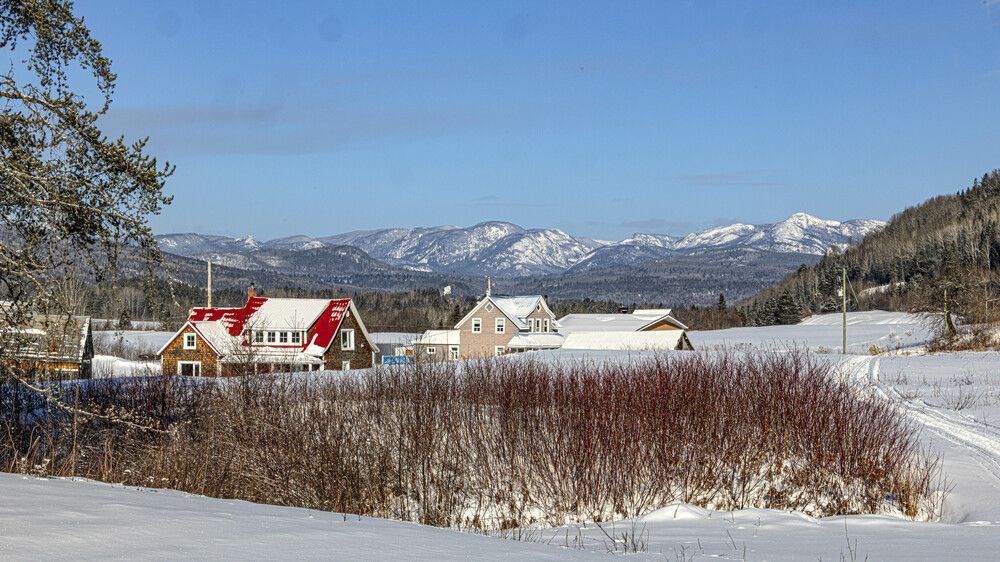 Фотография автора Clement Roy