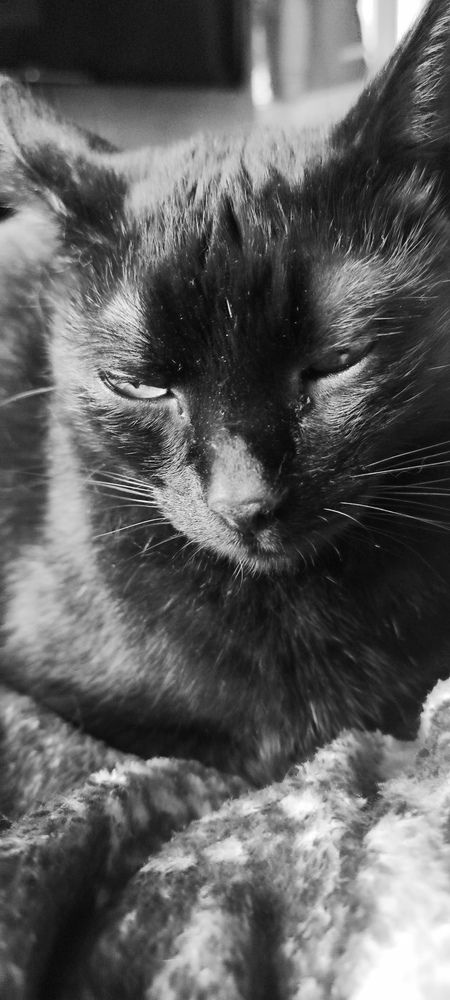 Photograph by Екатерина Александровна