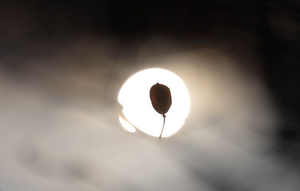 Фотография автора Максим Беднев