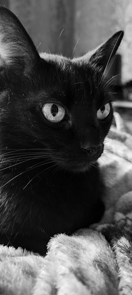 Photograph by Екатерина Александровна