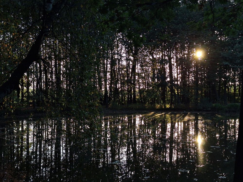 Photograph by Екатерина Мауль