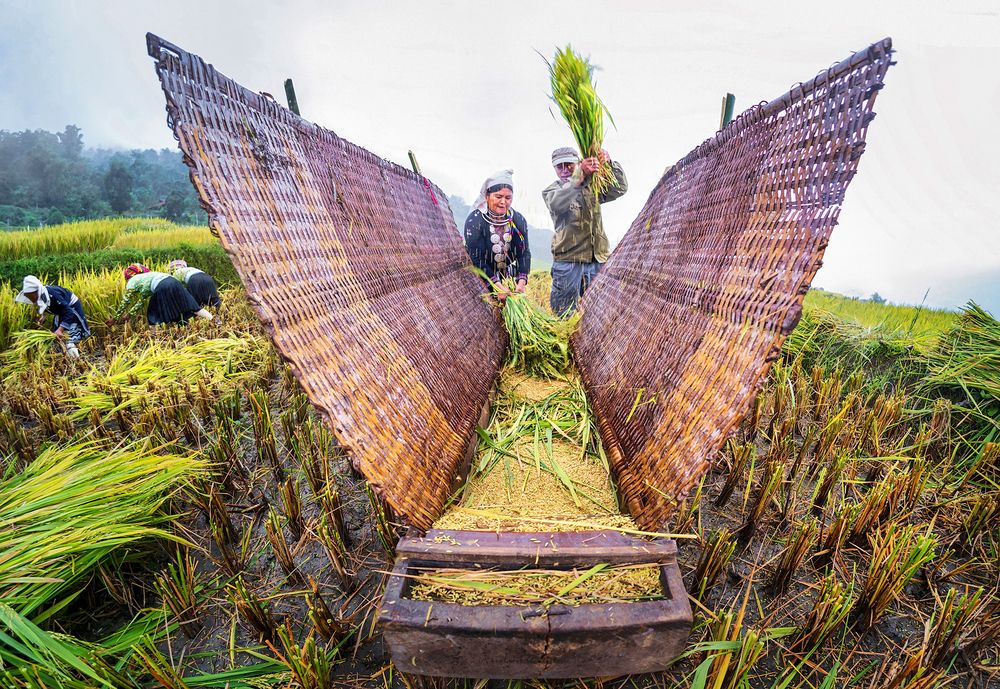 Фотография автора Hau Nguyen Vu