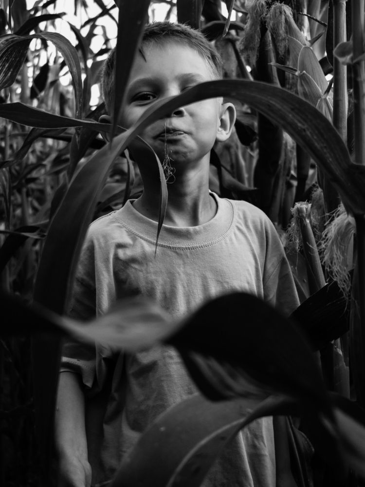 Photograph by Анжелика Каминская