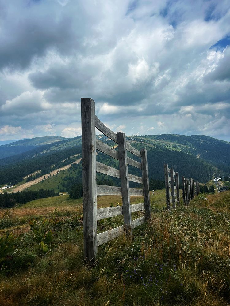 Photograph by Елена Хорошильцева