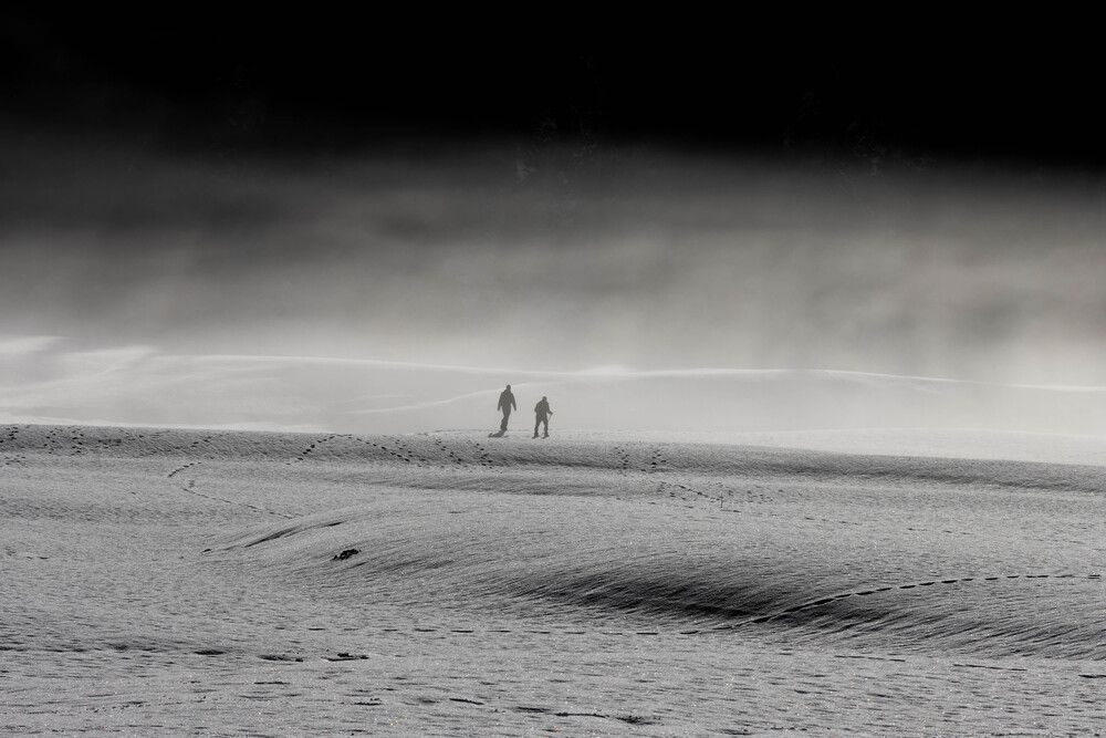 Фотография автора Sebastian Popa