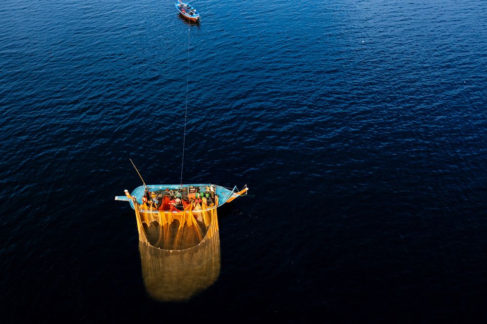 Фотография автора ZILL NIAZI