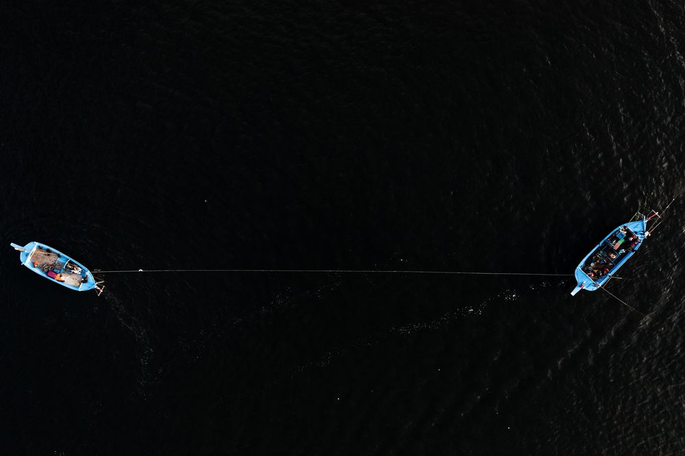 The Thin Line