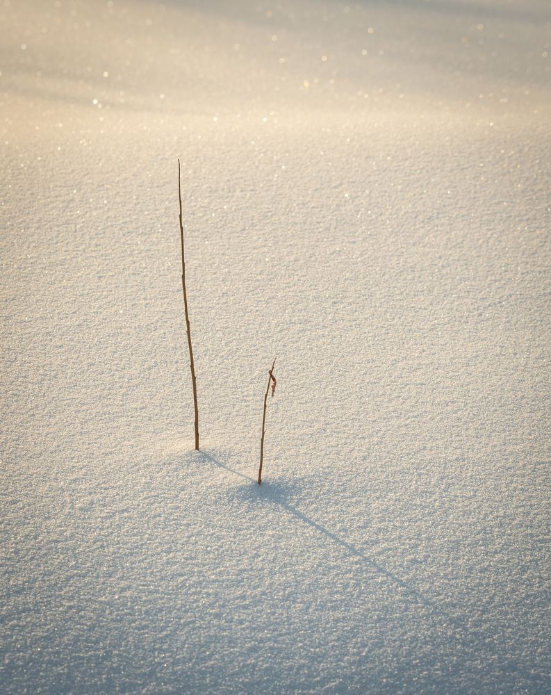 Photograph by Альварис Сукманюк