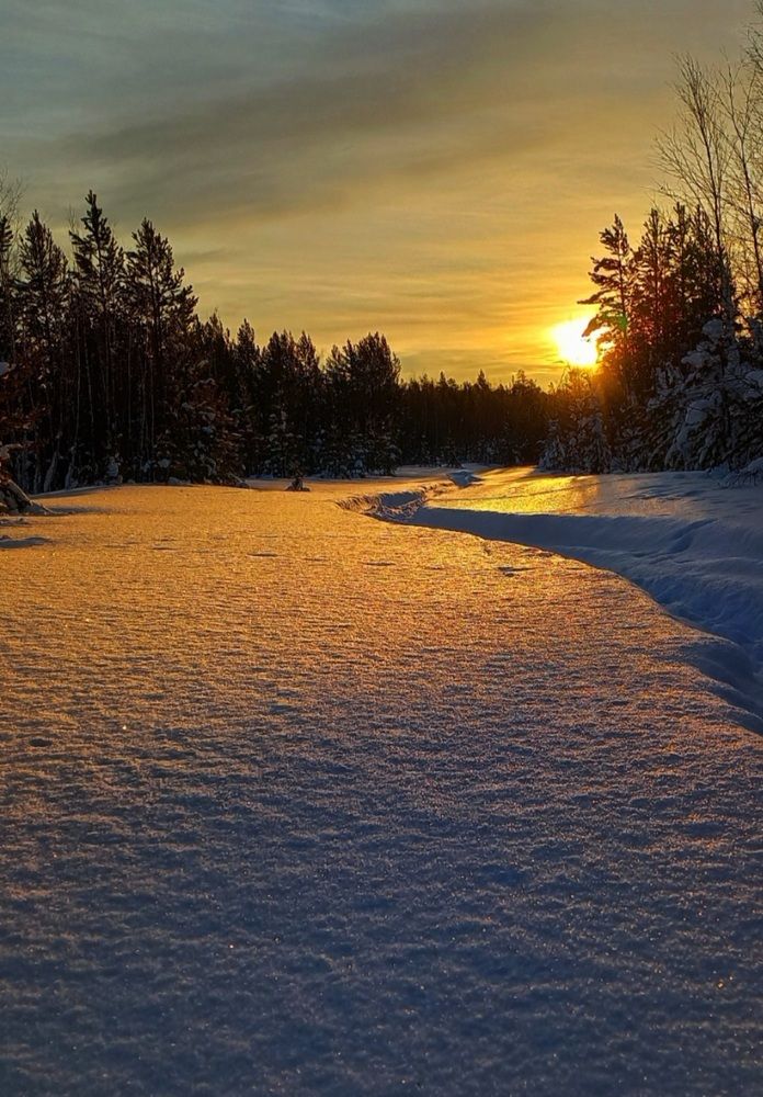 Photograph by Дмитрий Юдин