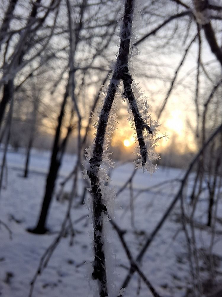 Photograph by Евгения Митюшкина