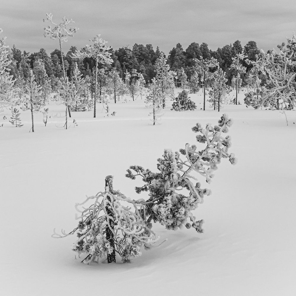 Фотография автора Анастасия Куракина