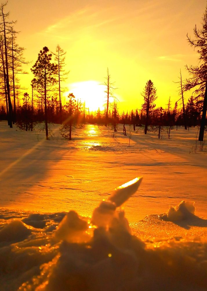 Photograph by Дмитрий Юдин