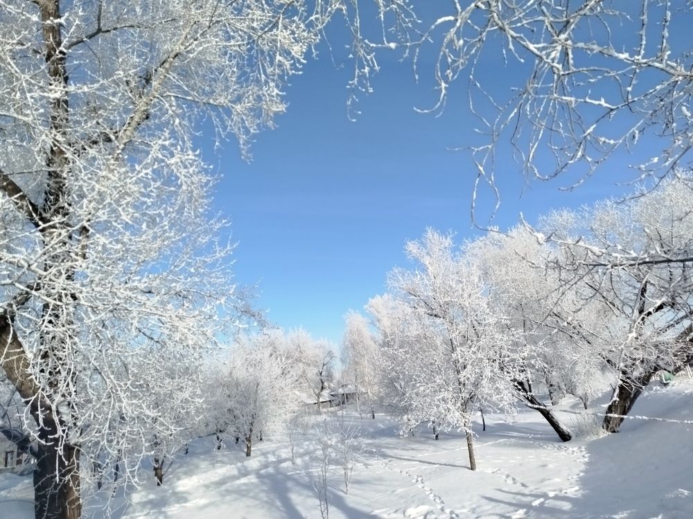 Photograph by Вячеслав Геннадьевич Усков