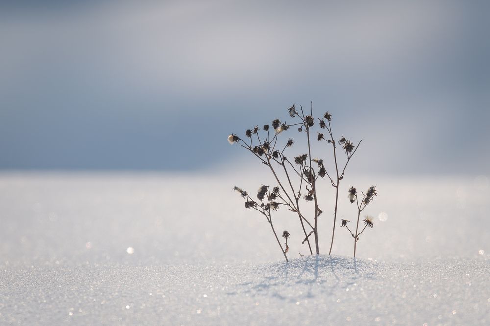 Photograph by Альварис Сукманюк
