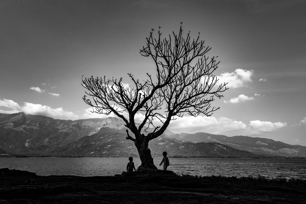 Photograph by Abhilash Thamattoor