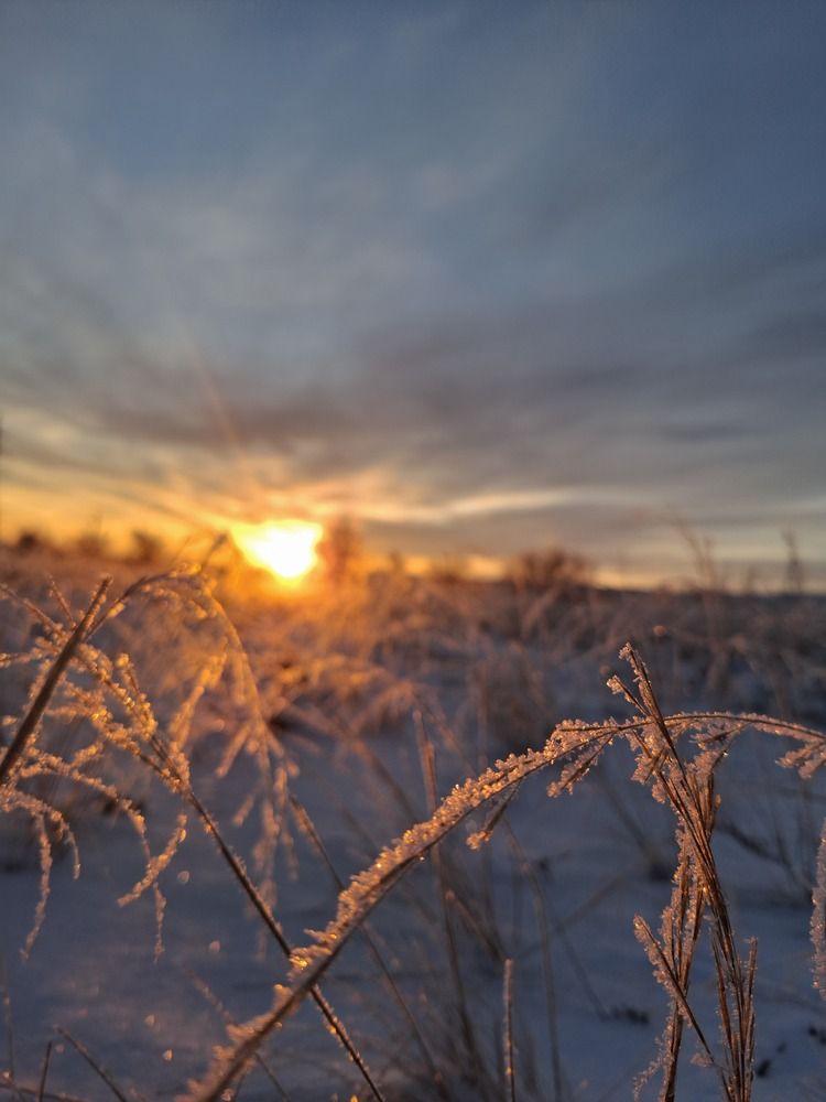 Photograph by Евгения Митюшкина
