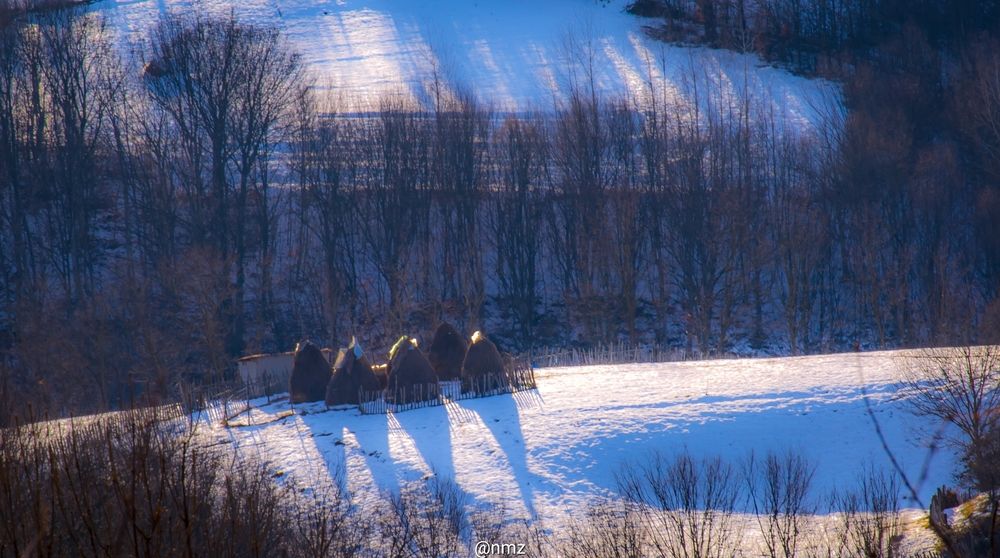 Фотография автора Cruceru Valerian