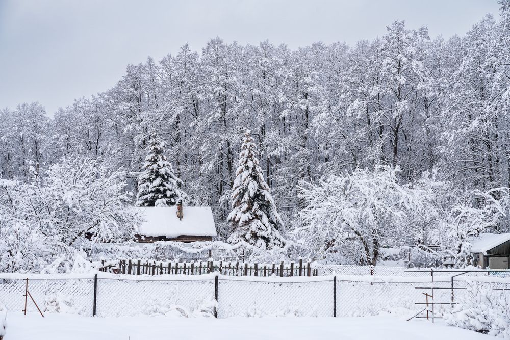 Photograph by Марина Горелова