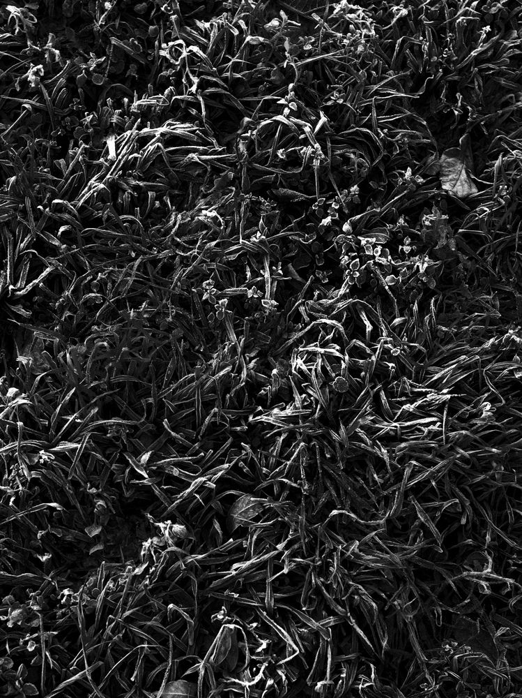 Фотография автора Юлия Маринина