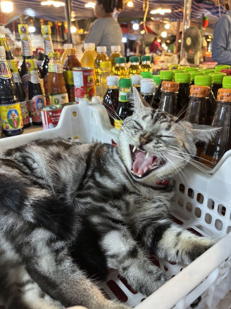 Photograph by Елена Хорошильцева