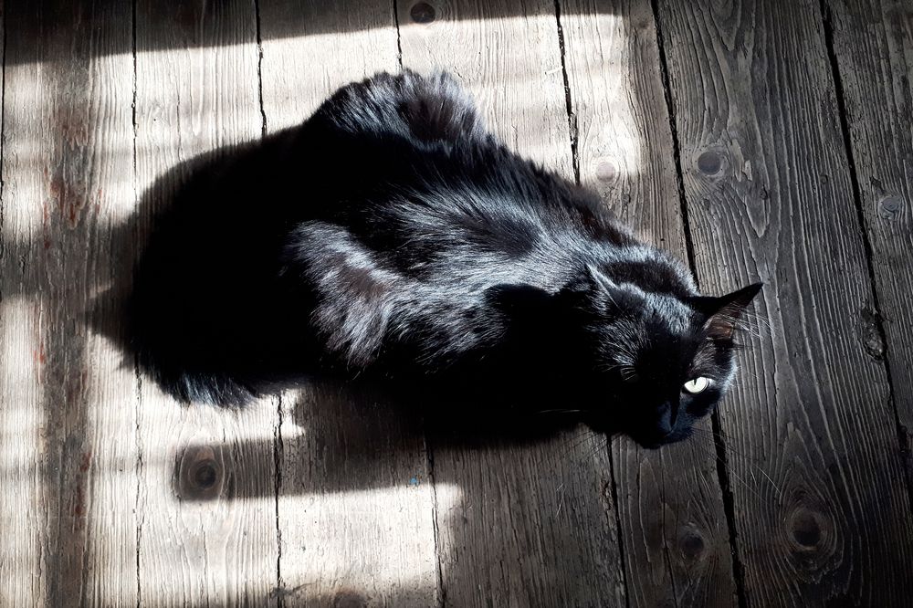 Photograph by Андрей Серый