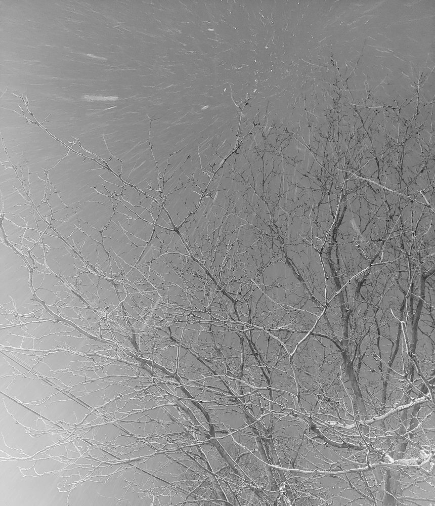 Фотография автора Adriana Rocha