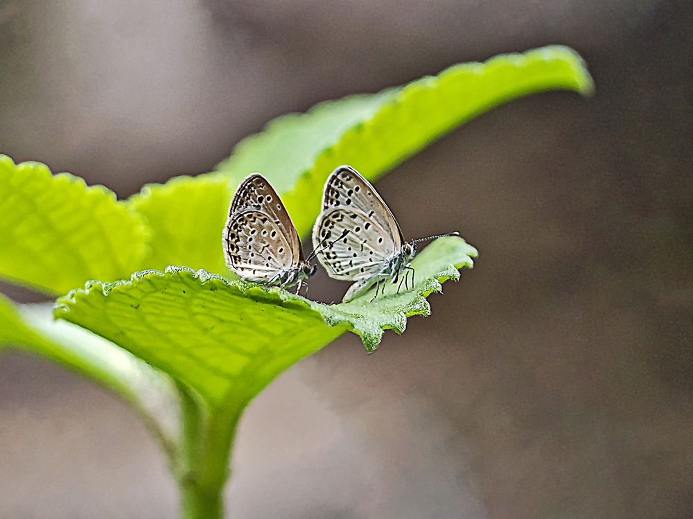 Photograph by WEONBAE PARK