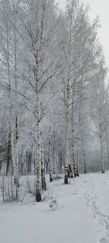 Photograph by Наталья Клячина