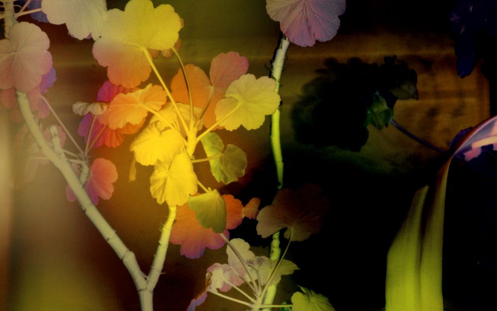 Photograph by Серега Вартман