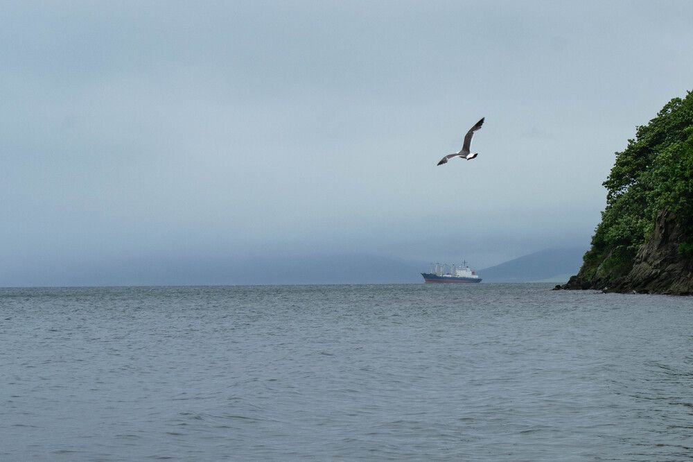 Photograph by Ольга Одинцова