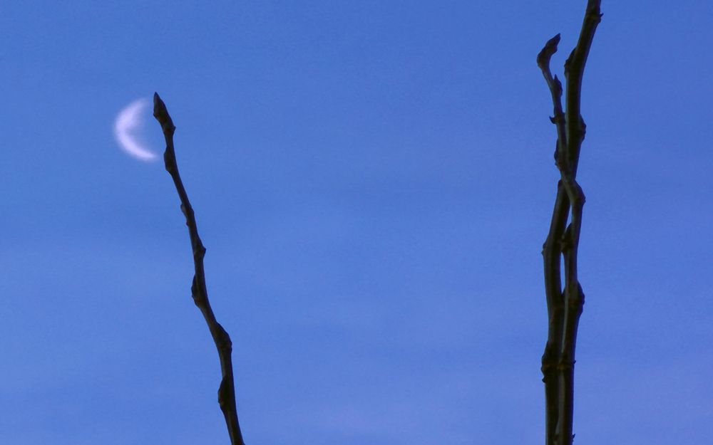 Photograph by Серега Вартман