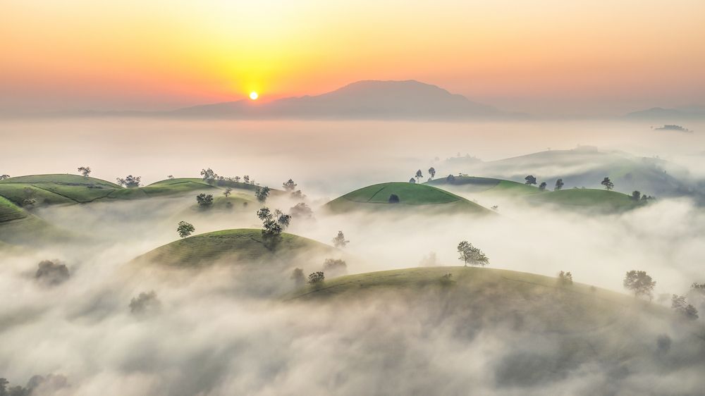 Dawn on Long Coc tea hill