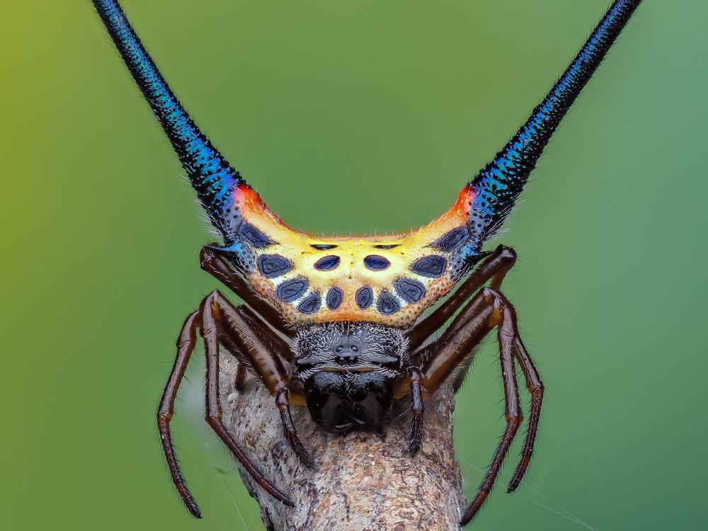 Photograph by Marcus Kam