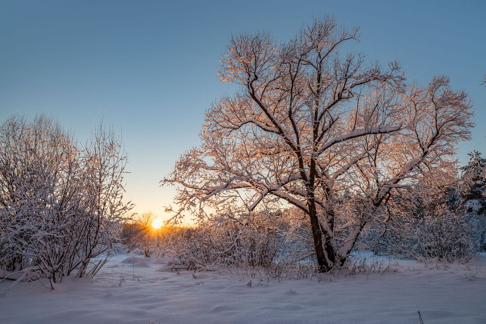 Photograph by Марина Горелова