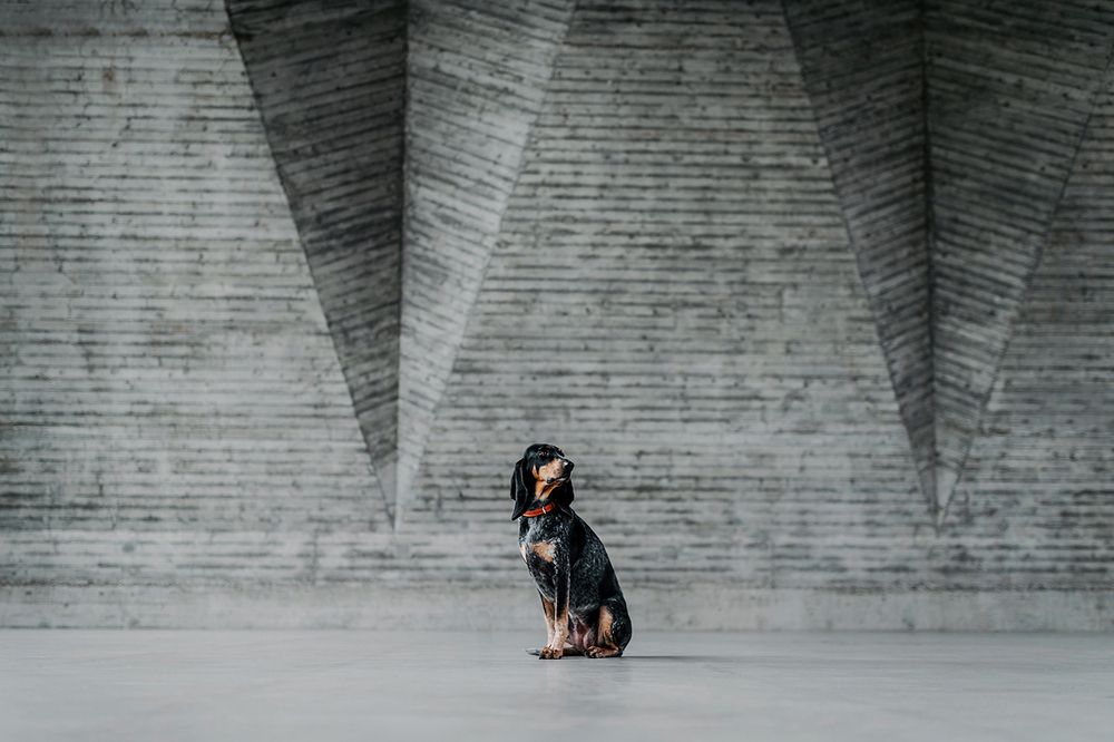 Photograph by Lea Styger