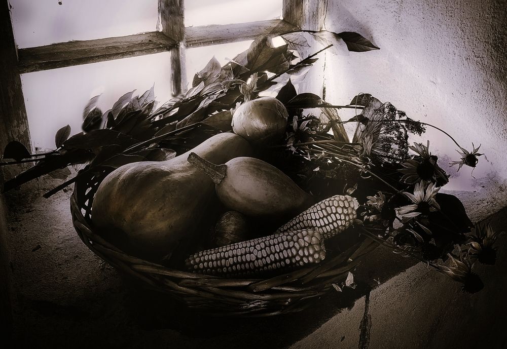 Photograph by Александр СЕГЕЕВИЧ