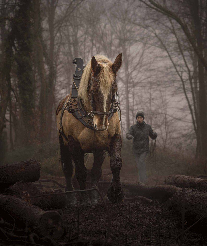 Photograph by Boulogne