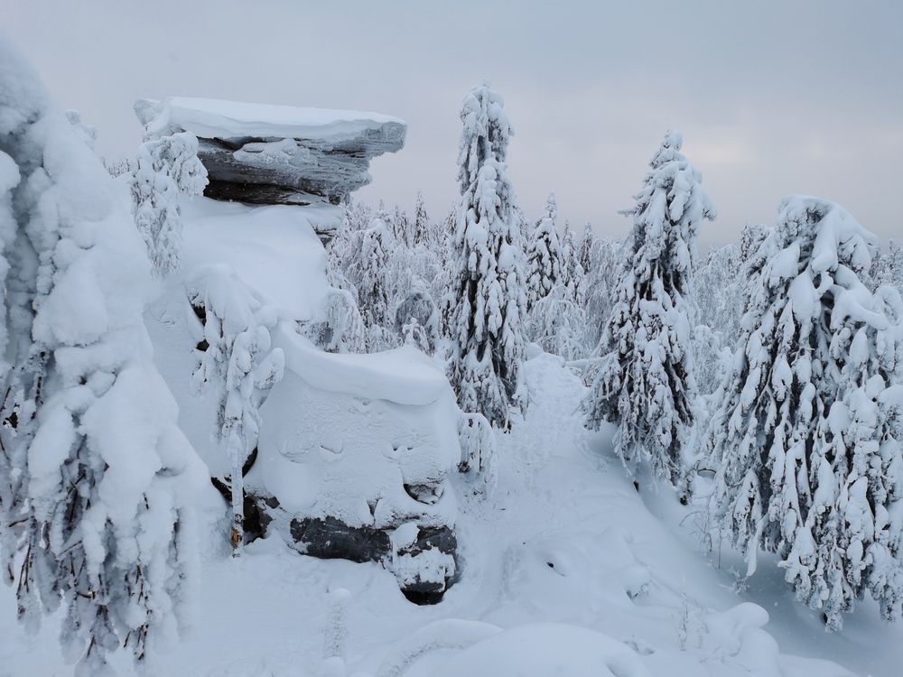 Photograph by Елена Касьянова