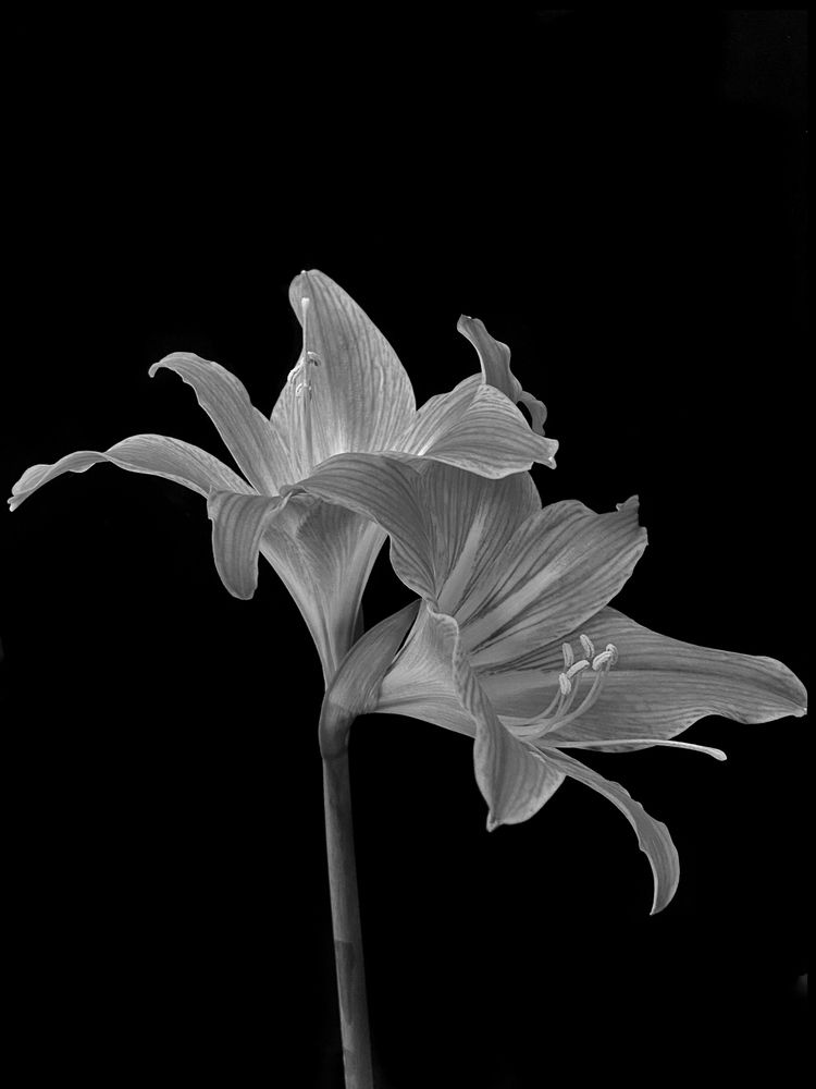 Photograph by Станислава Садыкова